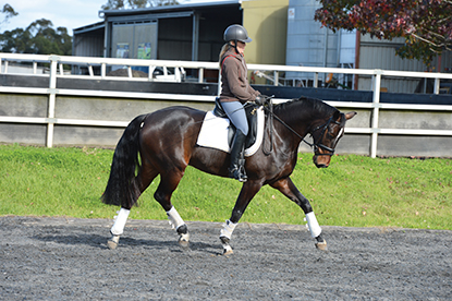 Working her young horse, Niki and Diesel