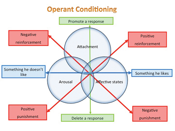 operant conditoining 1