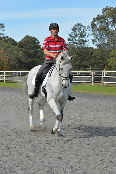 Shane and Darcy, collected work