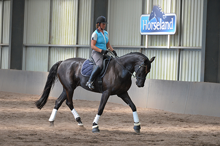 Narelle riding Ego Centrepiece