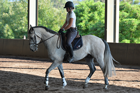 Taylah with Centurion