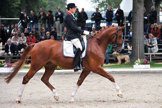 Christoph and Don Bettino at the 2011 Bundeschampionate