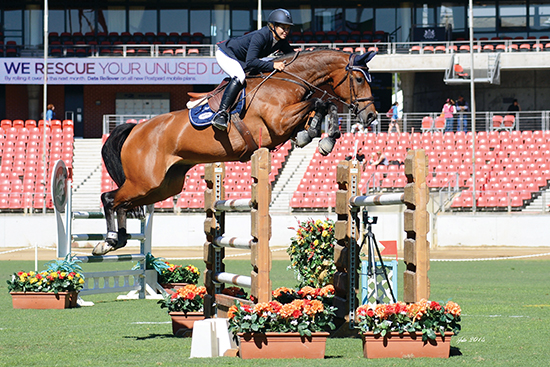 Gaby Kuna's spectacular, 'Christalline' shows why the Polish import is the young horse everyone is talking about during the Part 3 jump off class this morning. They got the time, but a fence down (hard to imagine) relegated them to eighth place.