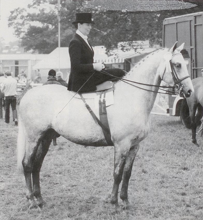 Jennie manages to combine dressage and showing