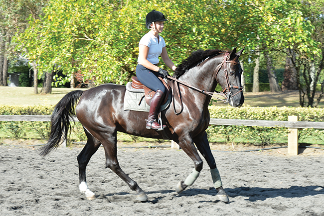 Canter2