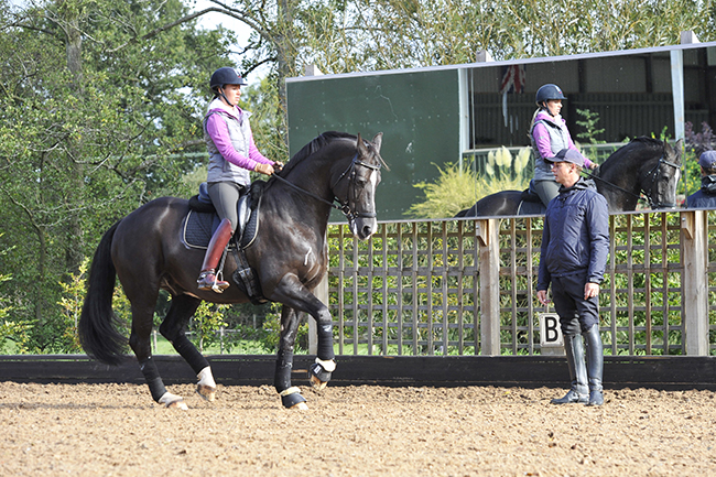 Carl Hester at home, Oaklebrook Mill