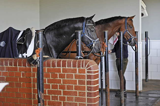 Carl Hester at home, Oaklebrook Mill