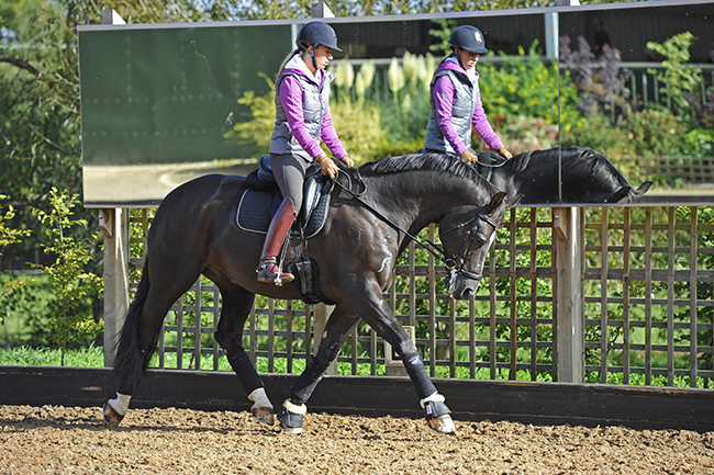 Carl Hester at home, Oaklebrook Mill