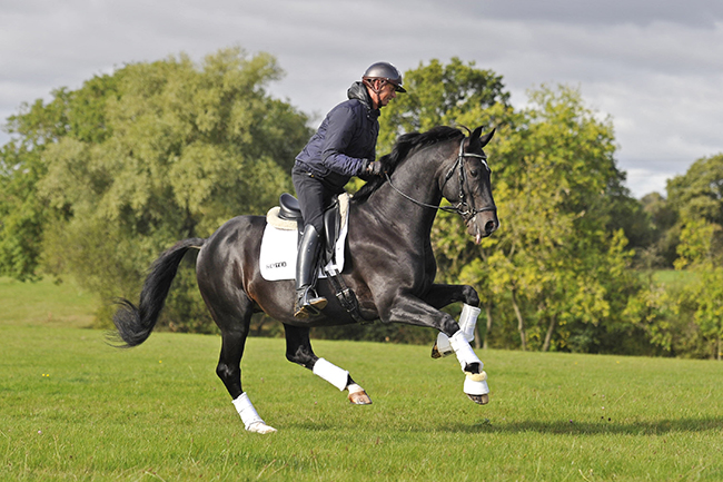 Carl Hester at home, Oaklebrook Mill