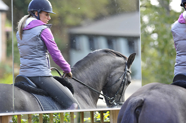 Carl Hester at home, Oaklebrook Mill