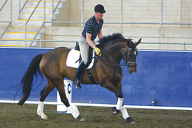 Wewltenfyne and Mathew show the forward seat and the stretched body.