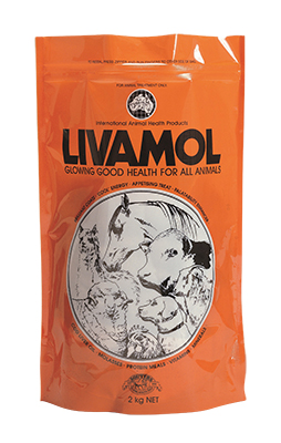 Livamol Bag 2