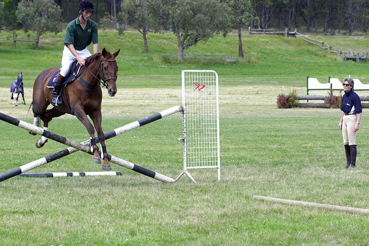 3tim-pole-on-ground2