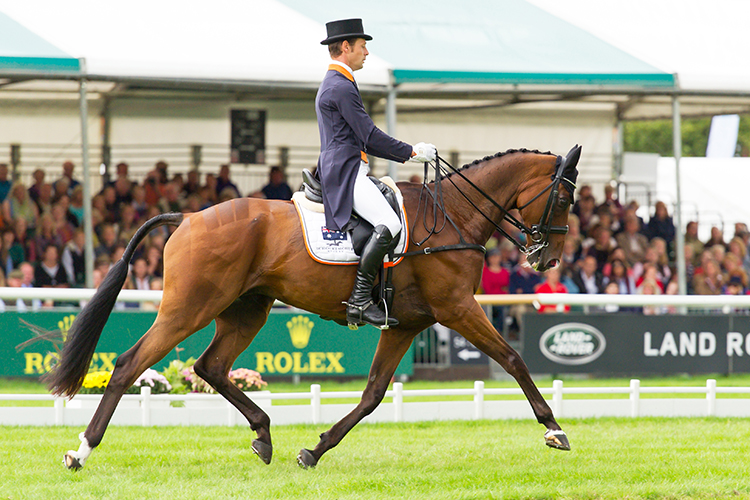 CHRISTOPHER BURTON (AUS) RIDING NOBILIS 18