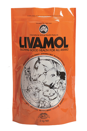 Livamol Bag 2