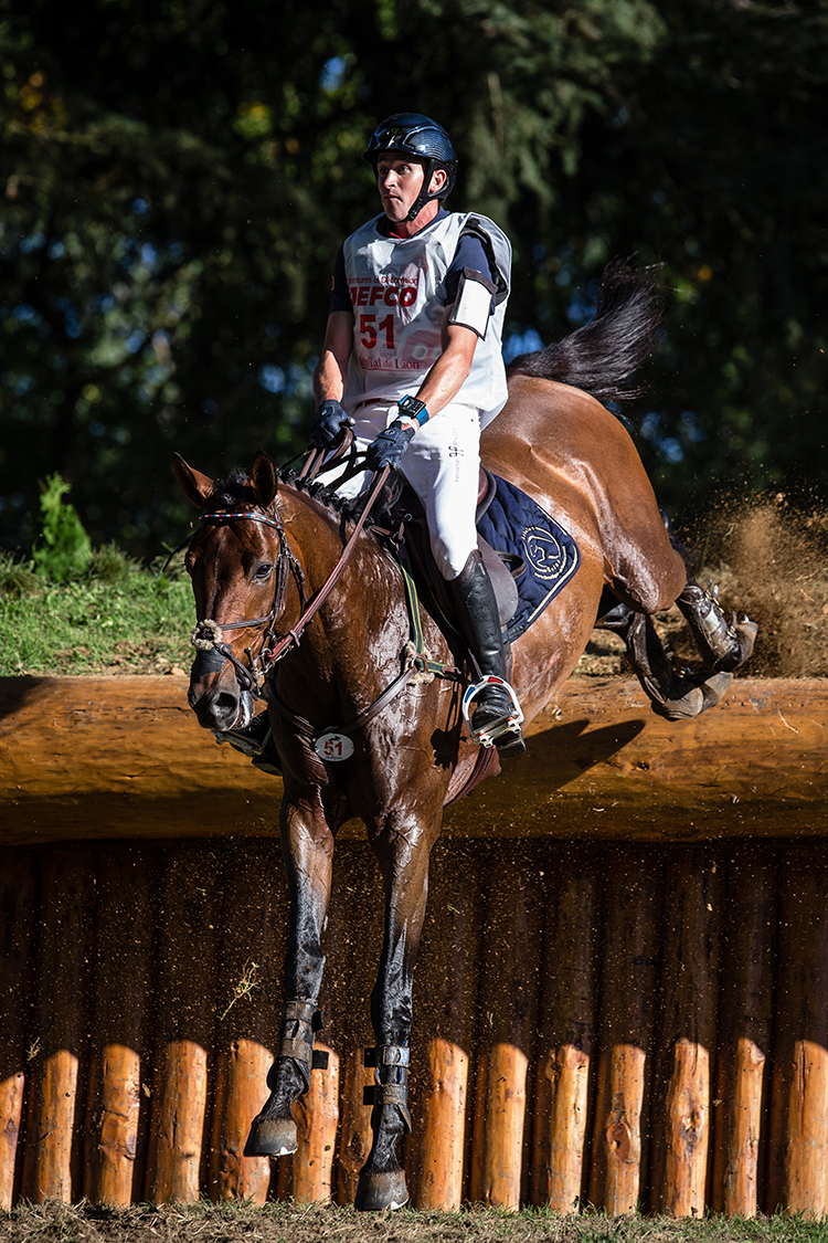 © Photographie Eric KNOLL. Mondial du Lion 2014. Le Lion d'Angers. Chevaux de 7 ans.