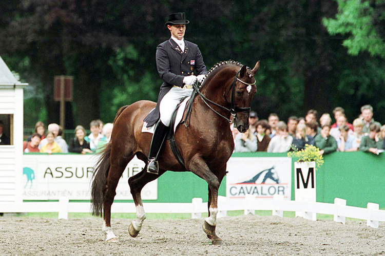 Dressage