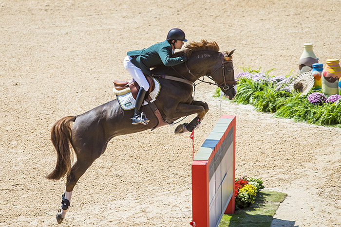 HORSE JUMPING SHOW: Cavalos de Salto em COQUINHOS