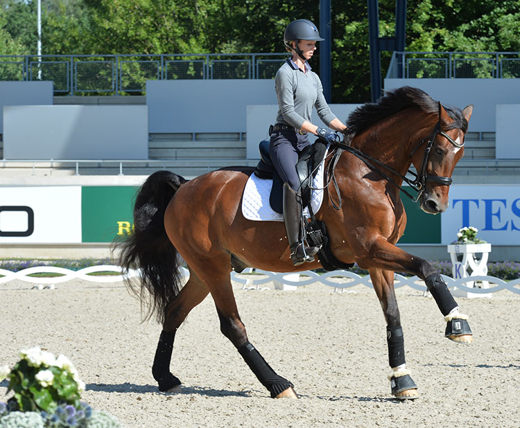 Aachen let the show begin… The Horse Magazine