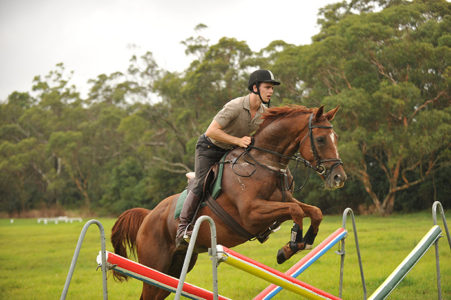 thoroughbreds endurance riding thoroughbreds endurance riding
