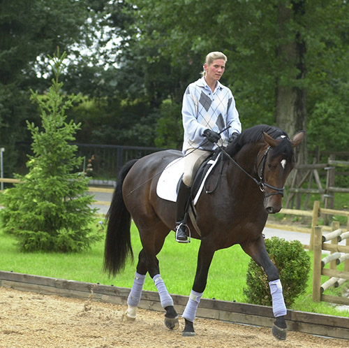 Martina Hannöver – Training the young horse – The Horse Magazine