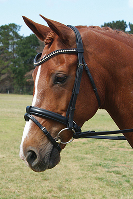 Grainge Show Snaffle Bridle