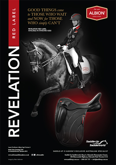 albion saddle serial number search albion saddle serial number search