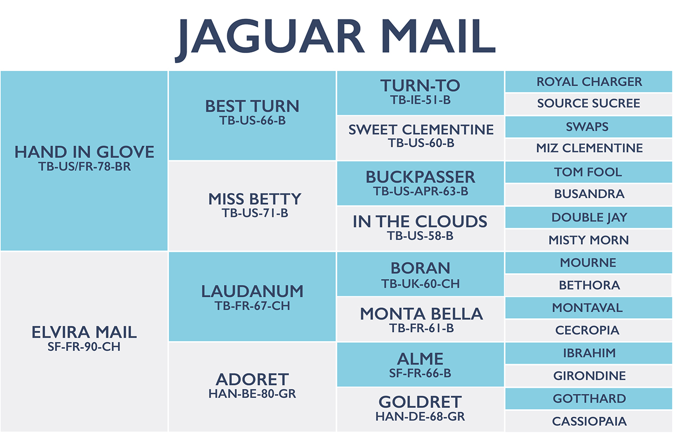 Jaguar Mail | The Horse Magazine