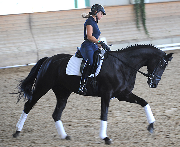 The Saumur BB is the perfect saddle bag. It envokes an equestrian spir