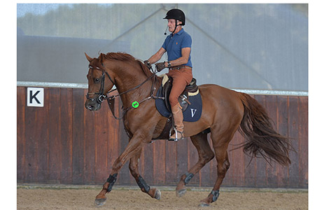 Show Jumping | The Horse Magazine | Page 3