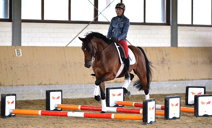 Exercise: Cavalletti and Coursework - The Plaid Horse Magazine