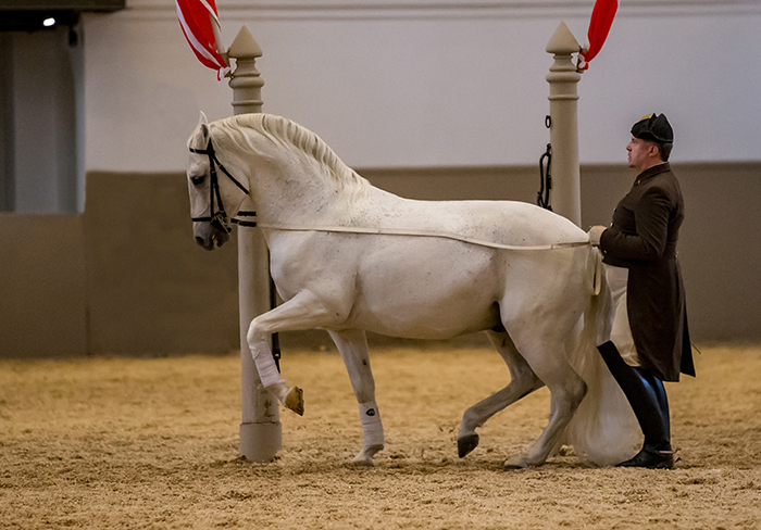 Andreas Hausberger – the Spanish School meets Competition dressage ...