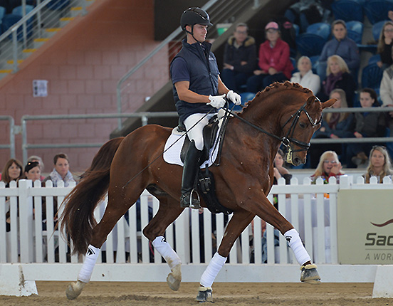 Sac d'équitation - My horse's stuff