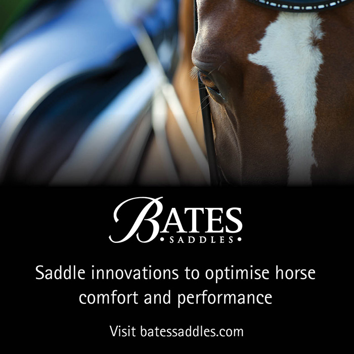 Bates Saddles_01