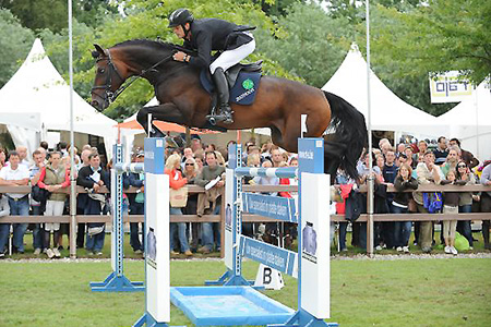 Thunder vd Zuuthoeve – the neglected stallion star!