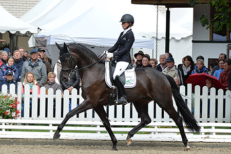 Udo Bürger: The Way to Perfect Horsemanship