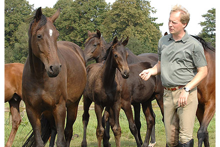 Horse Breeding Wisdom, with Ingo Pape