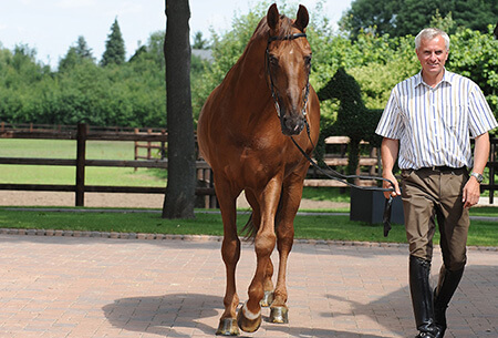 Wolfram Wittig -The Dressage Breeding Formula