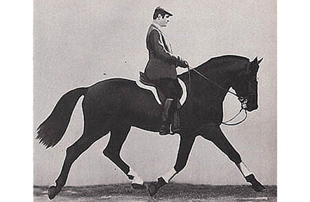 Nuno Oliveira, and his Treasure Trove of Equestrian Wisdom