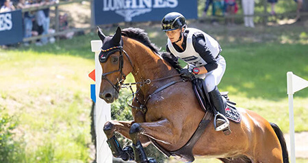 Eventing Stallions the BN rankings