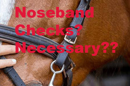 Dressage Rules, Anti-Rules, and the Magical Widget