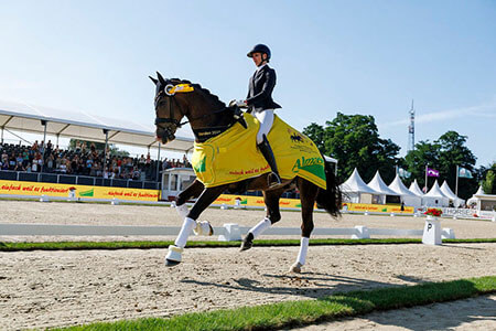World Young Dressage Horse Champs 2026